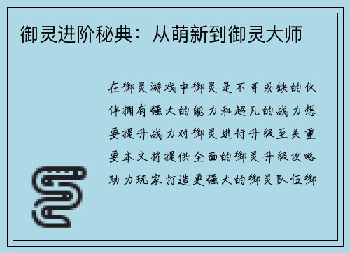 御灵进阶秘典：从萌新到御灵大师